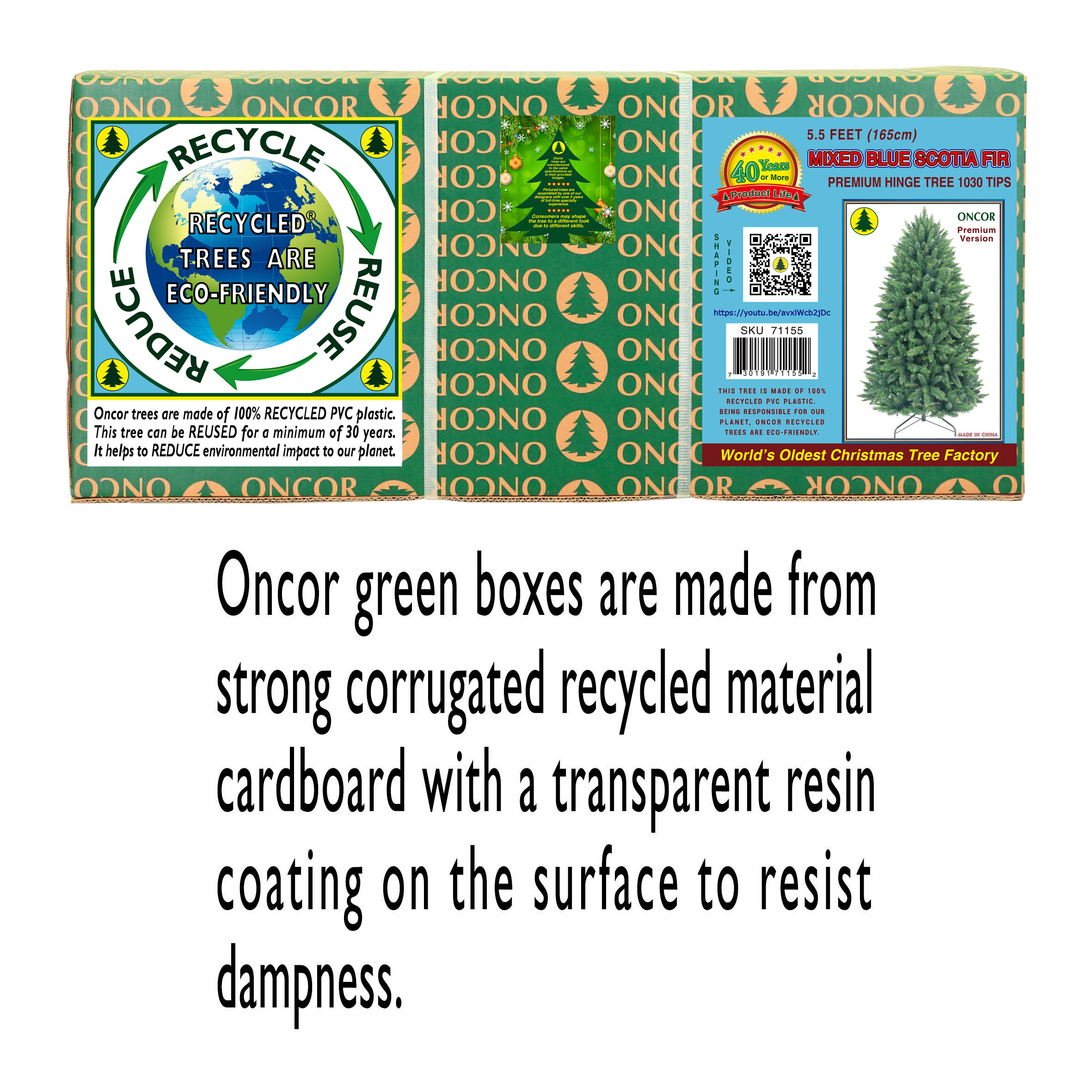slide1_71155.jpg